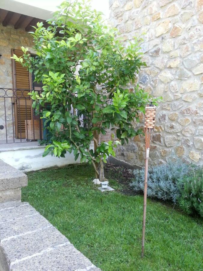 Ferienwohnung Il Poggio Da Leo Capanne Exterior foto
